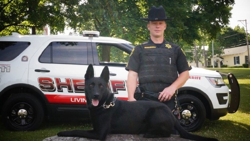 Livingston County Sheriff's K9 To Receive Body Armor | WHAM