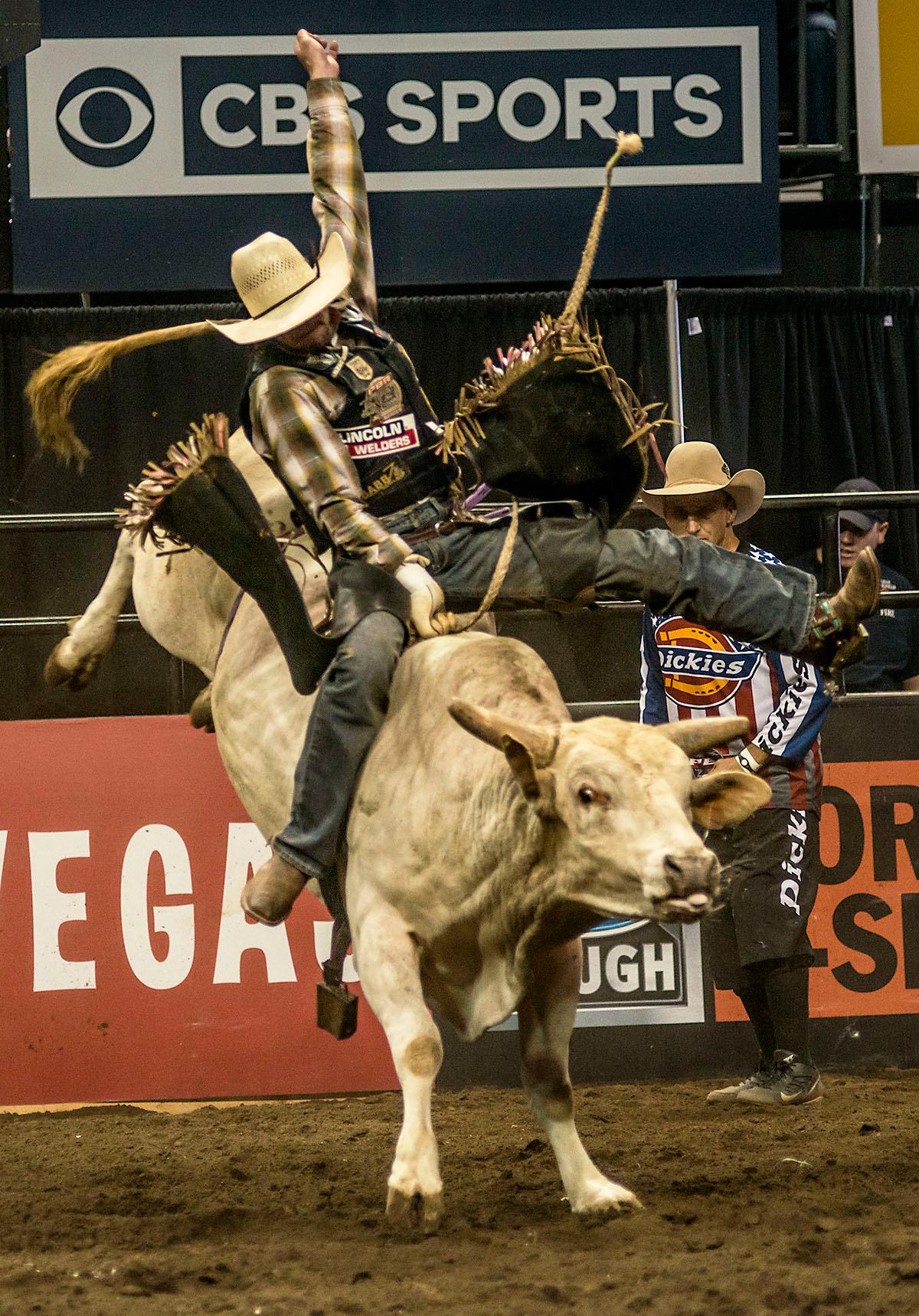 Photos Dirt Replaces The Hardwoods As Professional Bull Riders Buck At