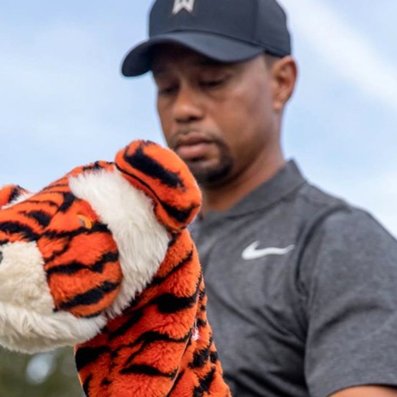 tiger woods headcover hat