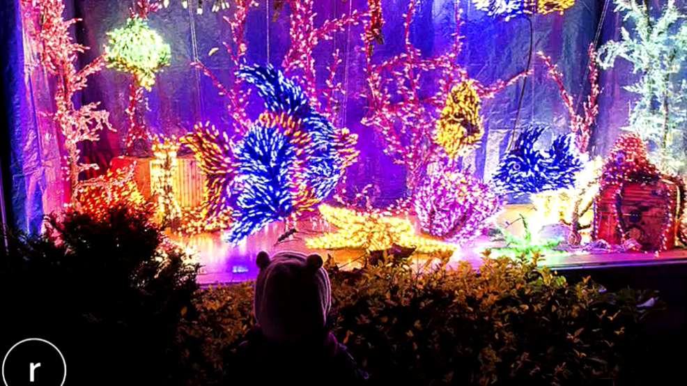 Let S Go Places Light Up The Night At Bellevue Botanical Garden