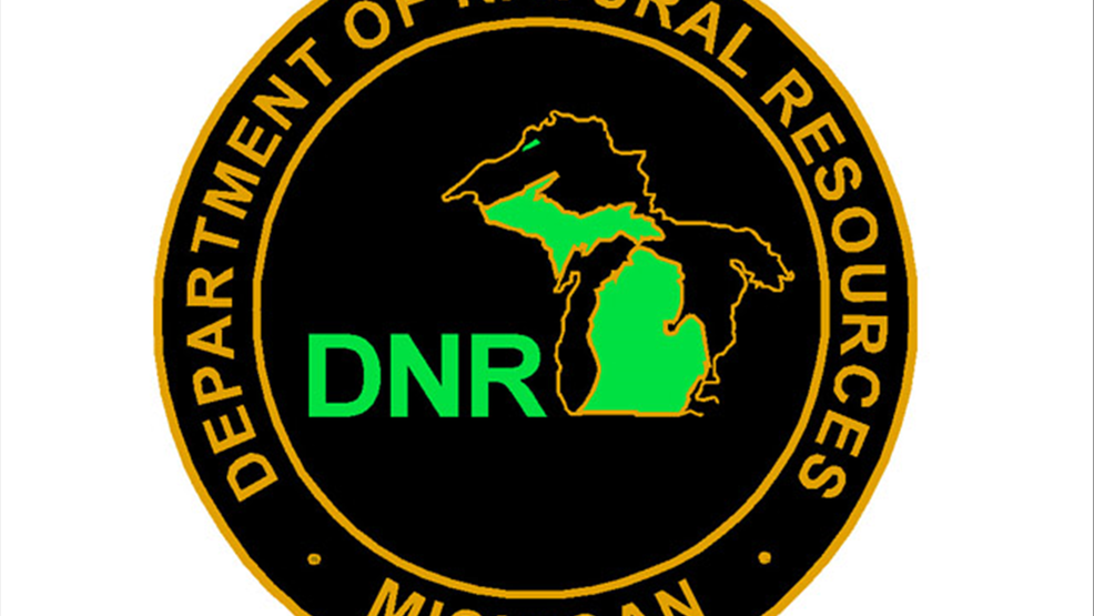 Michigan DNR takes applications for reserved waterfowl hunts WEYI