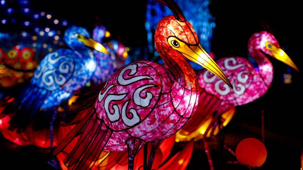 One of the Biggest Chinese Lantern Festivals in the Country Is 2 Hours