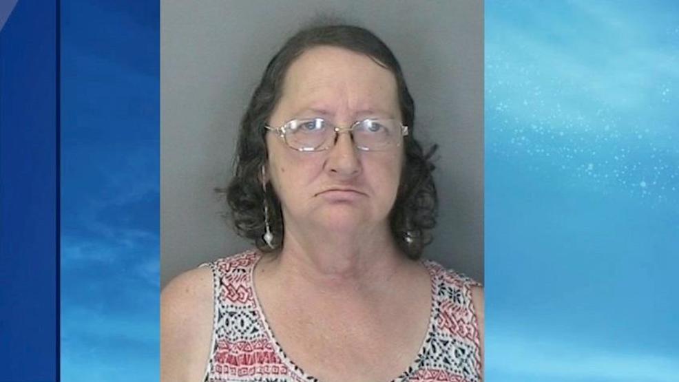 Investigators Woman Charged With Welfare Fraud Wrgb 9724