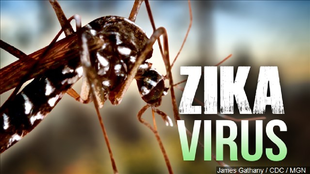 zika virus.jpg