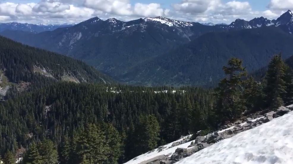 Shoreline man killed in 200-foot fall from cliff in Cascades; Husky saves 2nd hiker 