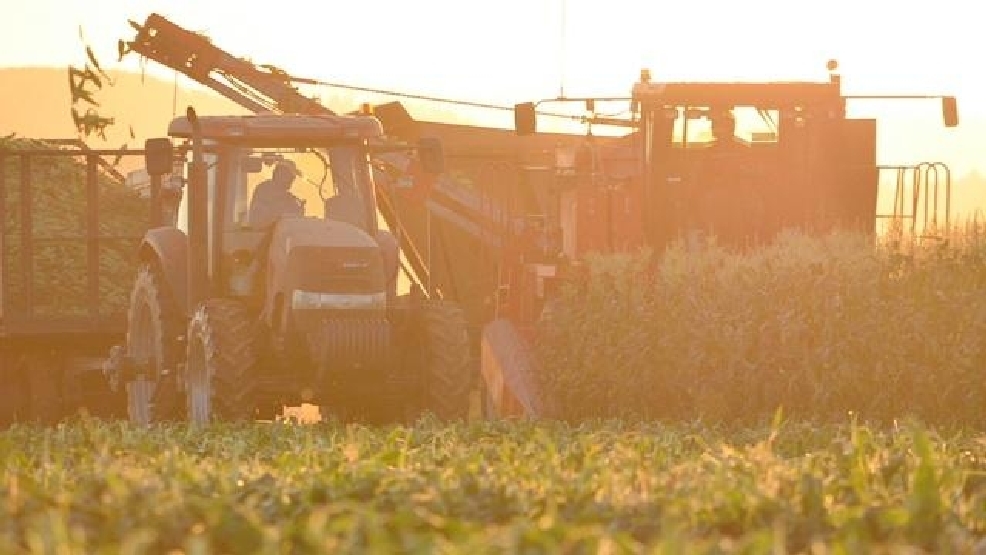 0321714OregonAg.jpg