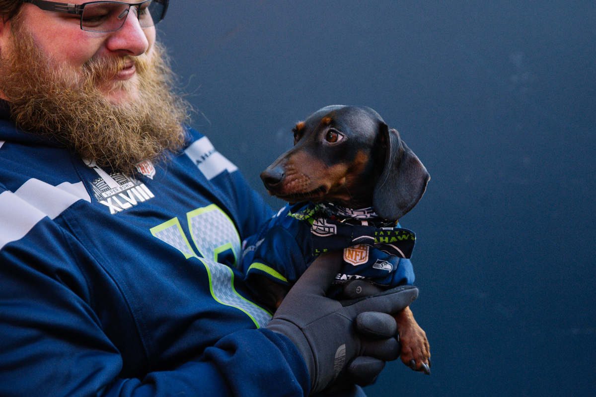 Photos Wiener dog race at halftime of Seahawks game KVAL