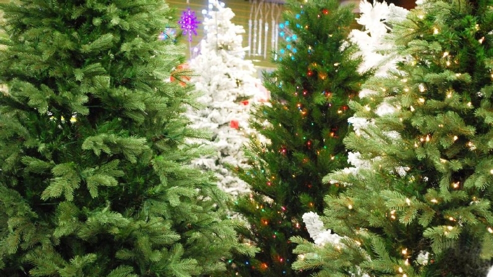28 best christmas trees arlington va christmas tree 28 best christmas trees arlington va christmas tree