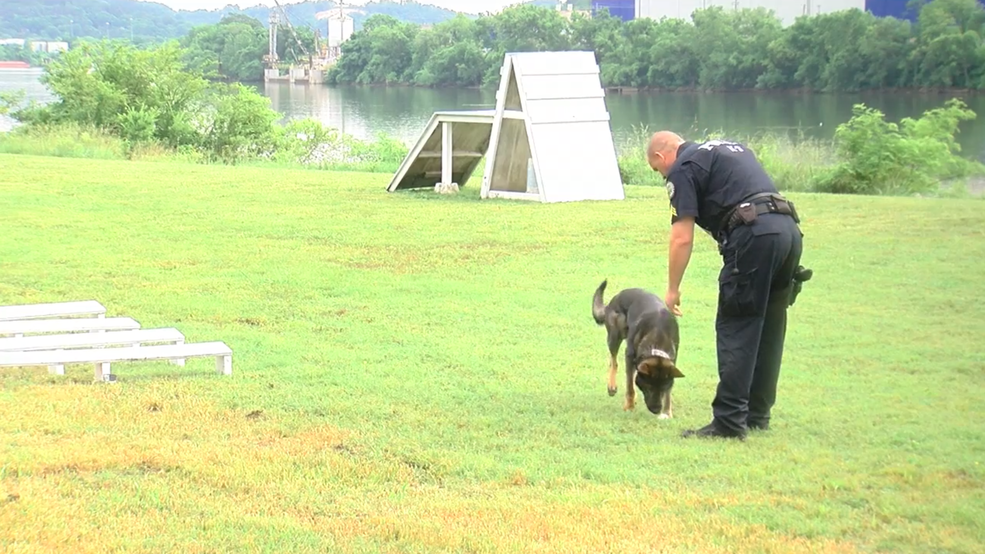 Estados unidos de Policía de la Asociación Canina viene a Chattanooga ... - WTVC 1 Estados unidos de Policía de la Asociación Canina viene a Chattanooga ... - WTVC 1