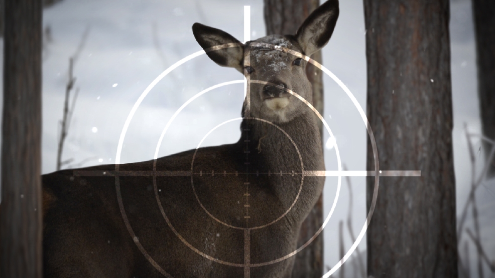 Hunters shoot nearly 6,000 deer in Ohio youth gun season ...