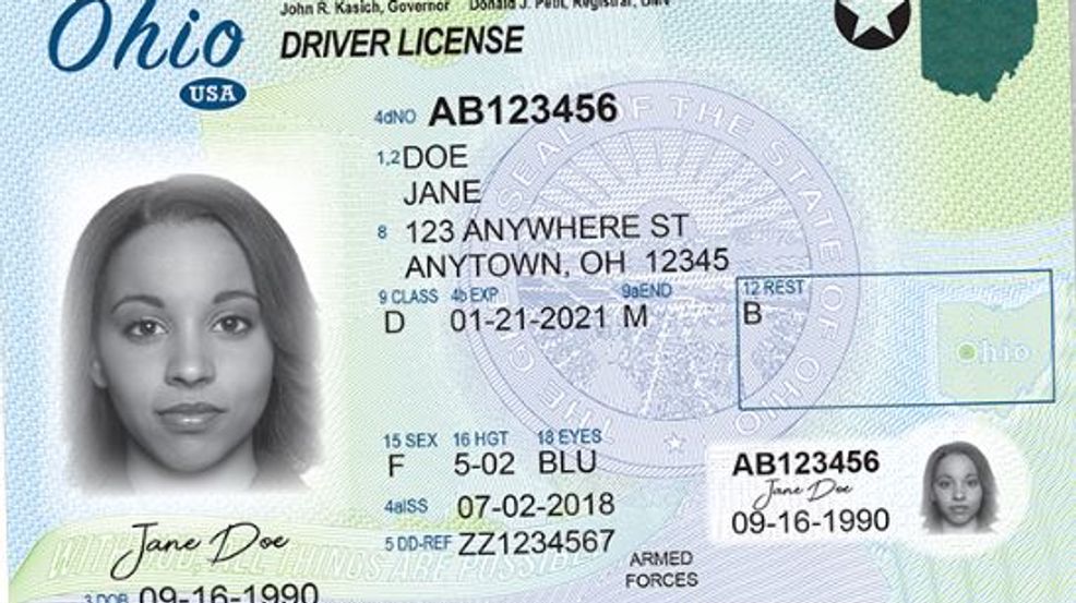 south carolina driver39s license renewal