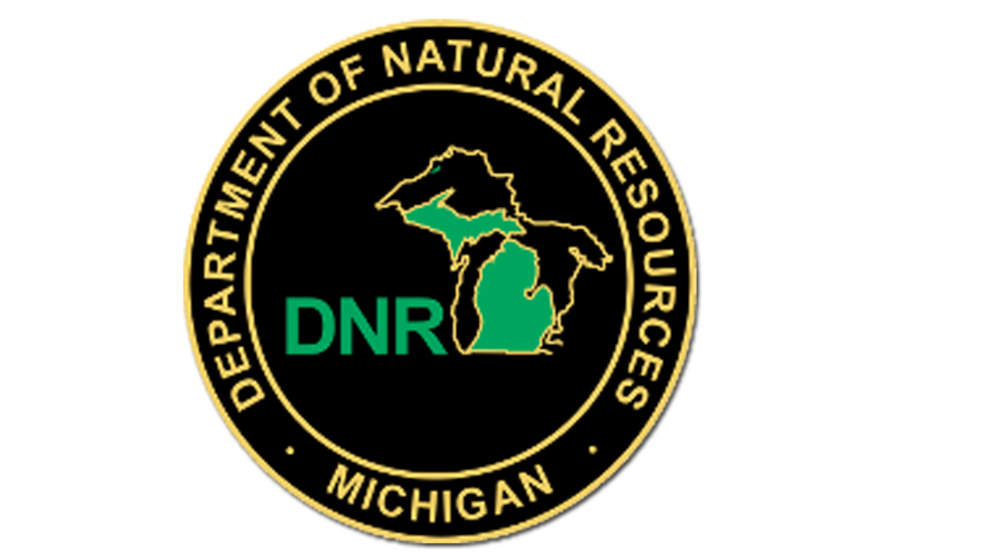 Michigan DNR to auction surplus public land WEYI