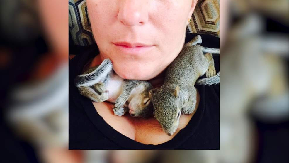 These abandoned squirrels are living the good life thanks to this loving foster family
