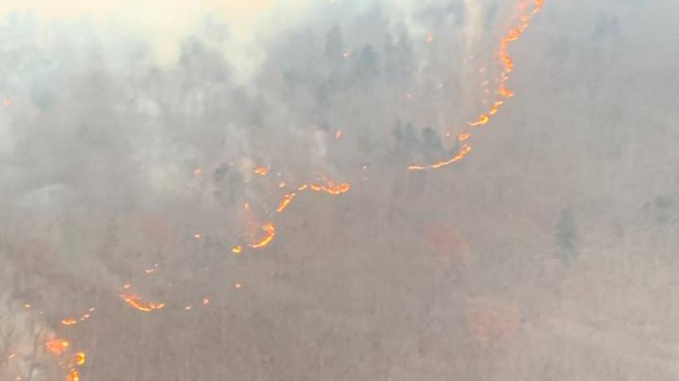 Wildfire burning in eastern West Virginia forest WTOV