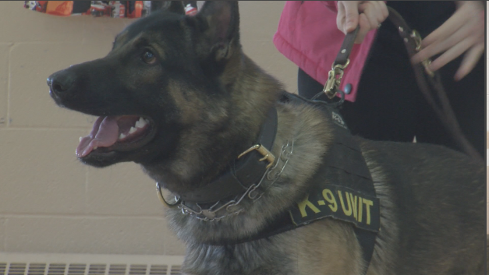 Explosive, Narcotic Detection Dogs Make K-9 Team Unique | WJAC