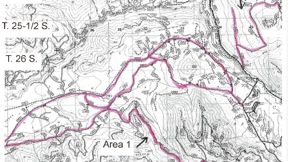 Free Wood Forest Service invites public to cut trees downed by storm