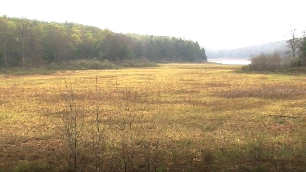 Lower Woods Pond Rehabilitation Project announced in Wayne County WOLF