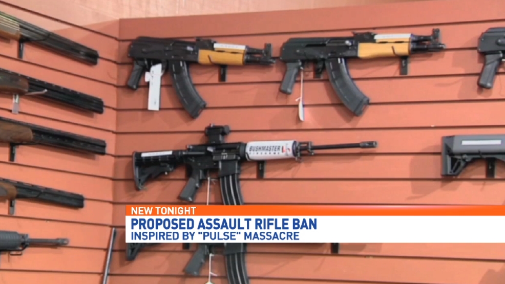 Florida lawmakers introduces bill to ban on assaultstyle weapons WEAR