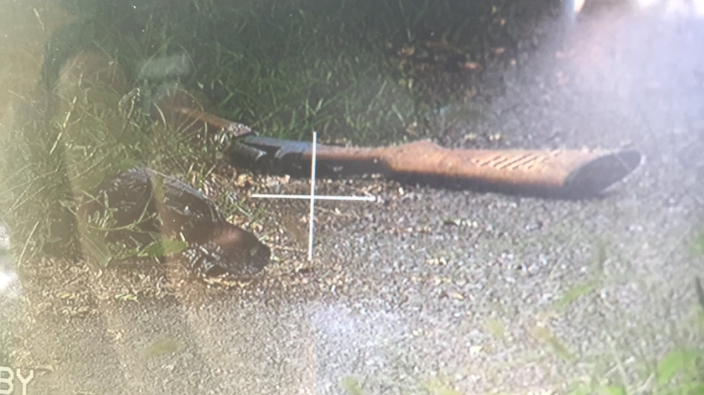 Police: Man shooting at groundhogs narrowly misses joggers | WHP