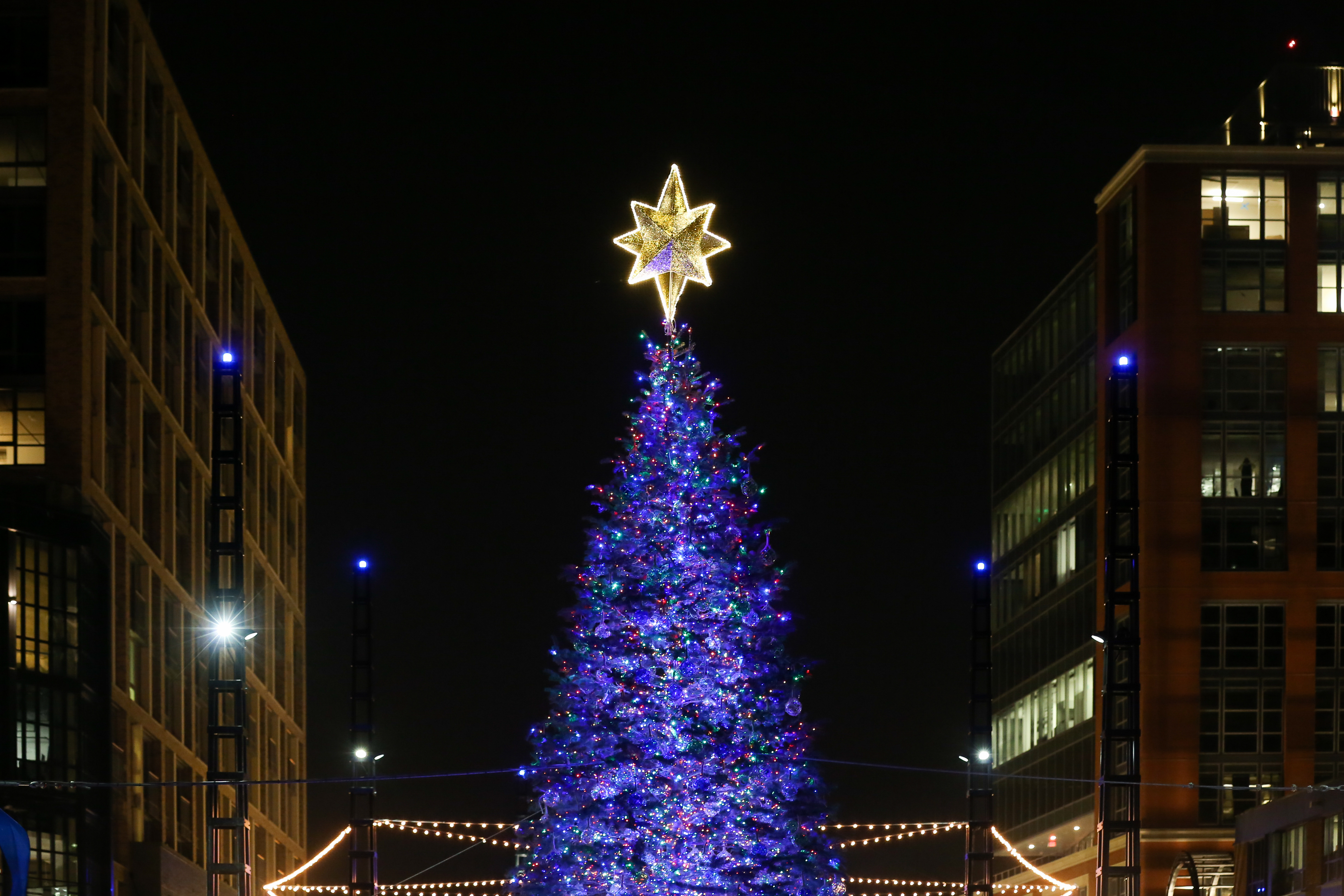 The Wharf lights up its first Christmas tree DC Refined