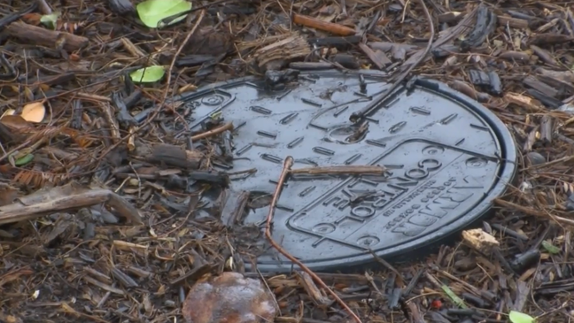 McAllen residents to vote on multimillion-dollar bond issues