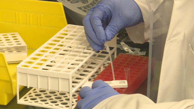 Broome County could offer a preview for what in school testing could like in here