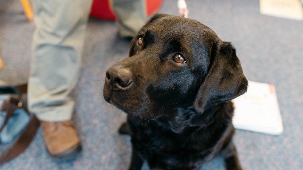 Seven day speed reading and learning program fudeb Seven day speed reading and learning program fudeb