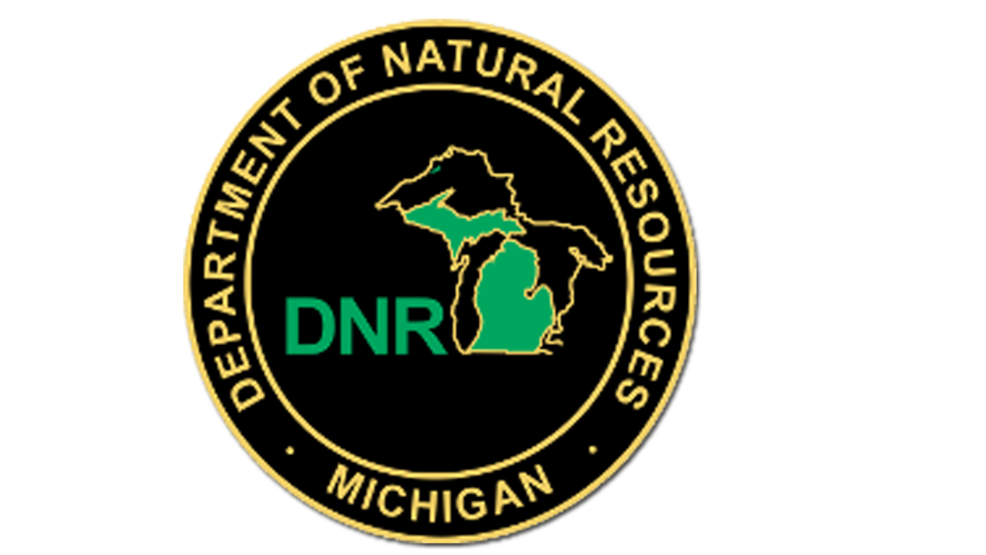 dnr fishing license