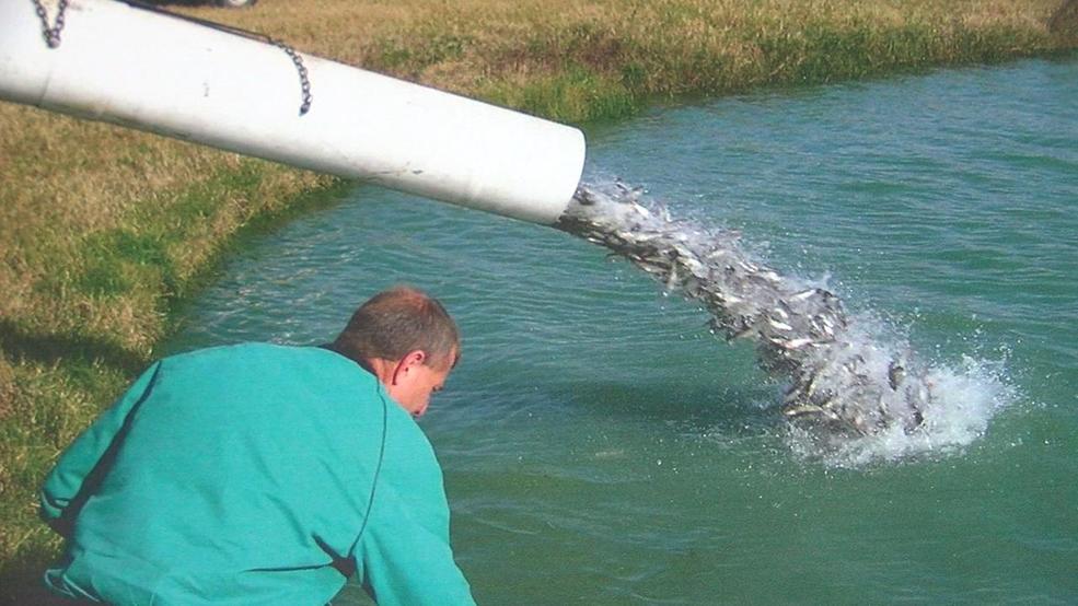 Four day Event Shows Importance Of Aquaculture Farming WCTI